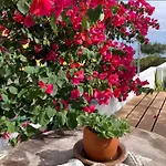 Holiday home Agua E Sal - Seafront House, With Garden And Independent Suite.