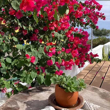 Holiday home Agua E Sal - Seafront House, With Garden And Independent Suite.