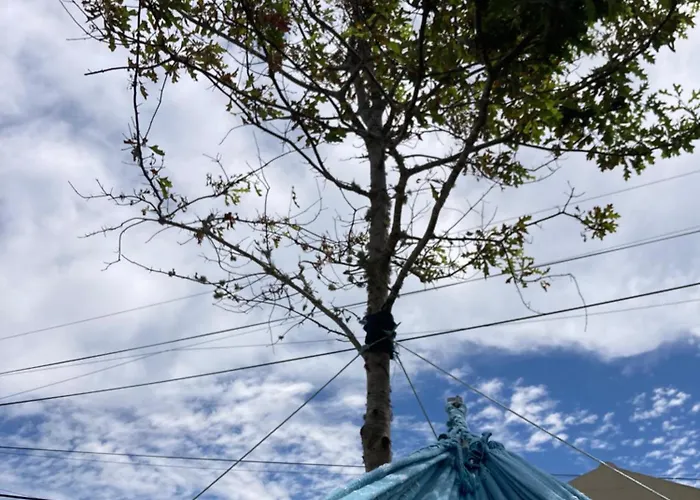 Agua E Sal - Seafront House, With Garden And Independent Suite. * Ribeira Quente