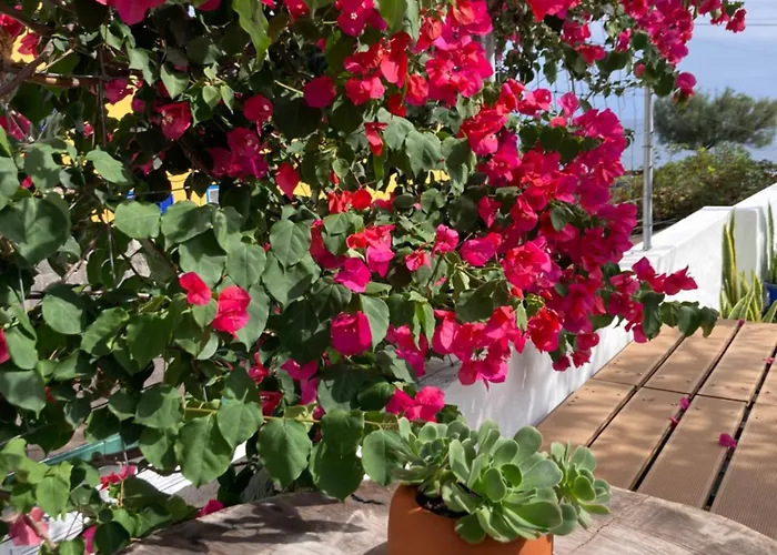 Hébergement de vacances Agua E Sal - Seafront House, With Garden And Independent Suite.